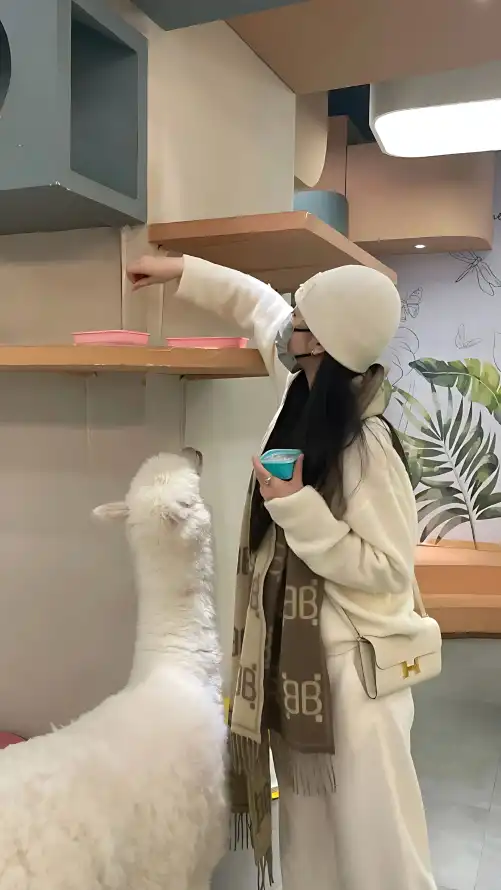 欧美性开放大片福利免费观看视频_久久成人伊人欧洲精品_亚洲最大无码av网站观看